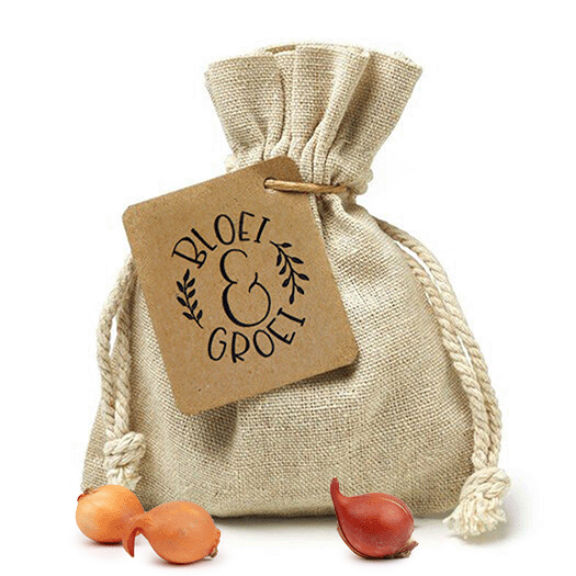 Bloembollen in linnenzakje