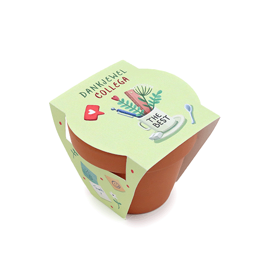 Zaden in terracotta potje