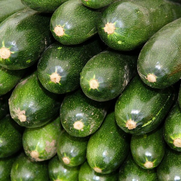 Courgette zaden