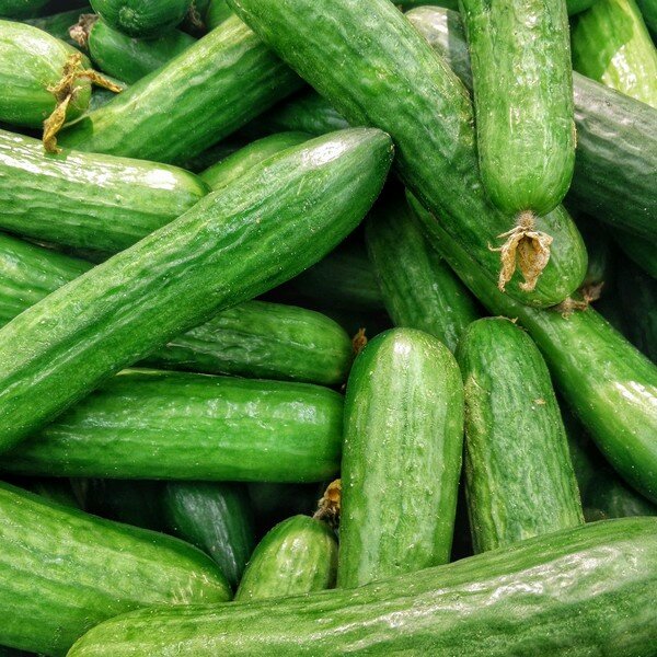 Komkommer zaden