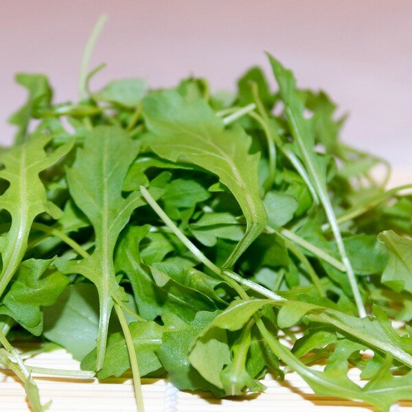 Rucola zaden