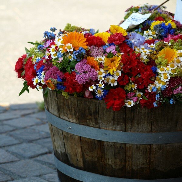 Bloemenmengsel zaden