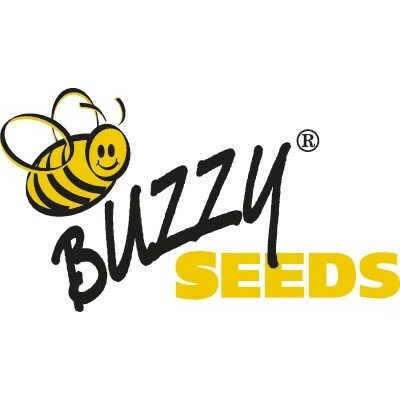 Buzzy Seeds
