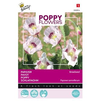 Papaver Blauwmaanzaad somniferum Poppy Flowers roze zaden