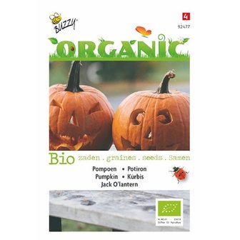 Biologische Halloween pompoen Jack O'lantern zaden voorkant