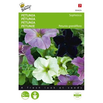 Petunia Sophistica gemende zaden voorkant