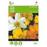 Zinnia Star Starbright gemengde zaden voorkant
