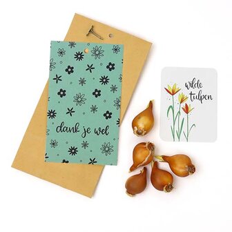Bedankje bloembollen in kraft cadeauzakje - dank je wel