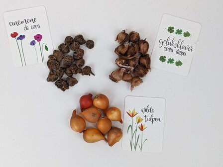 Bedankje bloembollen in kraft cadeauzakje - dank je wel