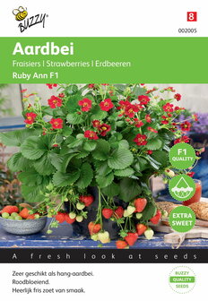 Hang Aardbei Ruby Ann F1 zaden - voorkant