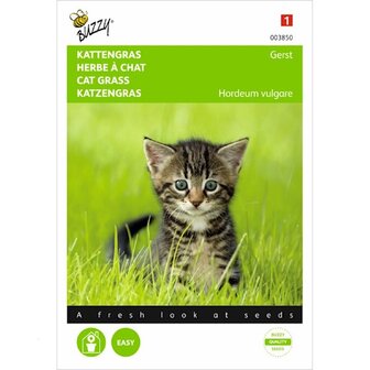 Kattengras Gerst Hordeum vulgare zaden 