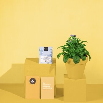 Fijne paasdagen met heel veel bloemplezier - Kwiek Groeibriefje