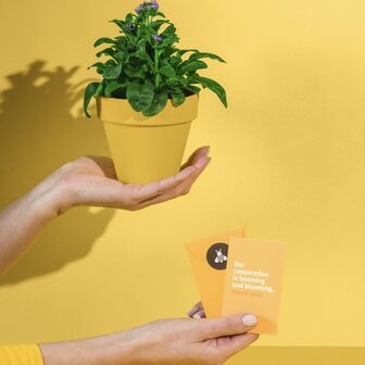 Fijne paasdagen met heel veel bloemplezier - Kwiek Groeibriefje
