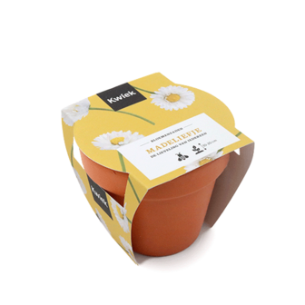 Terracotta potje madeliefje