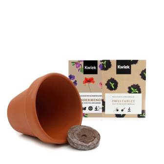 Biologische vlinderbloemen zaden  -  KWIEK Terracotta potje