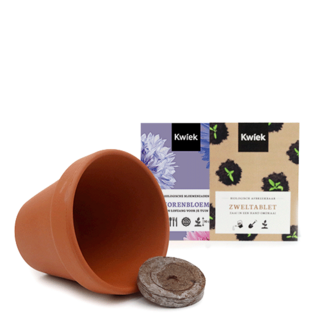 Inhoud terracotta potje biologische korenbloem