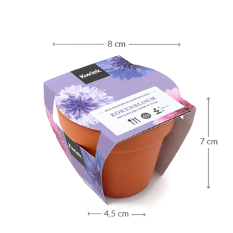 Maatgeving terracotta potje biologische korenbloem