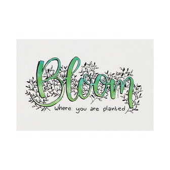 Ansichtkaart 100 x 148 mm met de tekst &lsquo;Bloom where you are planted&rsquo;
