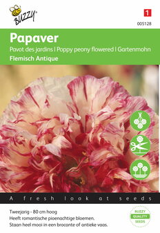 Papaver Slaapbol Flemish Antique zaden - voorkant