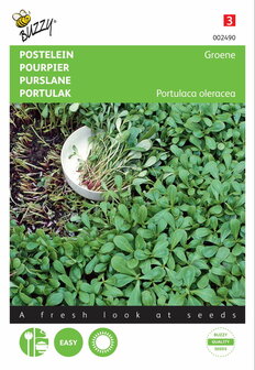 Groene Postelein zaden