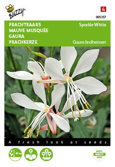 Prachtkaars Sparkle White Gaura lindheimeri zaden - voorkant