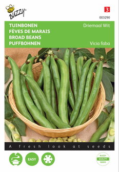 Tuinbonen Driemaal Wit zaden