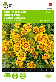 Randjes Afrikaan Starfire Tagetes zaden - voorkant