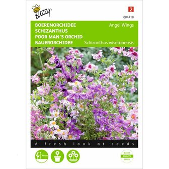 Boerenorchidee Angel Wings zaden