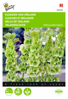 Klokken van Ierland (Molucella) - voorkant