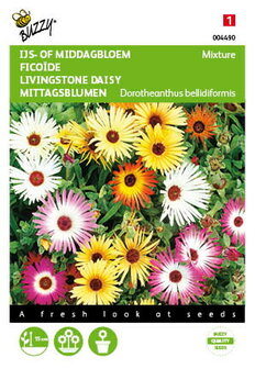 IJsbloem kleurenmengsel Dorotheanthus zaden - voorkant