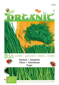 Biologische Bieslook Prager zaden