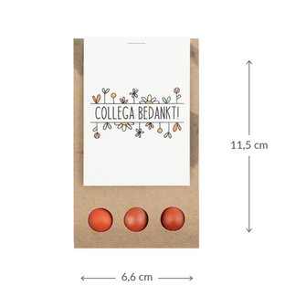 Collega bedankt - Bloembollen in buidel // Eef