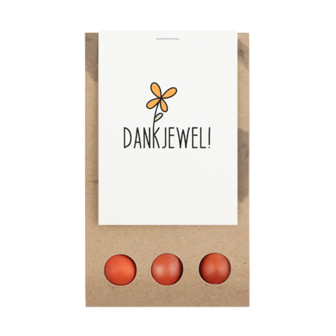 Dankjewel - Bloembollen in buidel // Eef