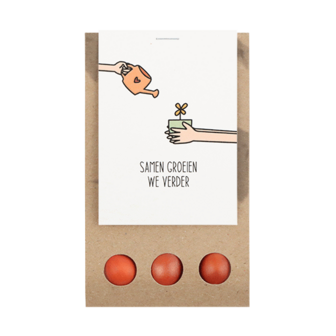 Samen groeien we verder - Bloembollen in buidel // Eef