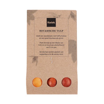 Fijne kerst - Bloembollen in buidel // Mijksje