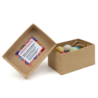 Zaadbommetjes in papier mach&eacute; doosje - Zijaanzicht met zaai-instructie sticker in deksel