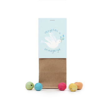 Zaadbommetjes in kraft stazakje - Vergeten is onmogelijk - Hoofdfoto