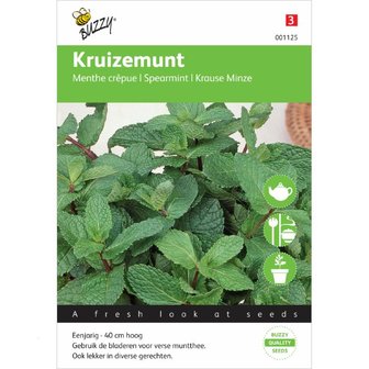 Munt (Kruizemunt) zaden