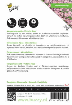 Vergeet-me-niet Victoria (Rose)