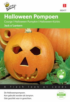 Pompoenen Jack O'Lantern (Cucub.Pepo) zaden