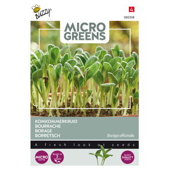 Microgreens Borage komkommerkruid kiem zaden - voorkant