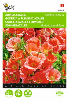 Zomer Azalea Salmon Princess zaden - voorkant