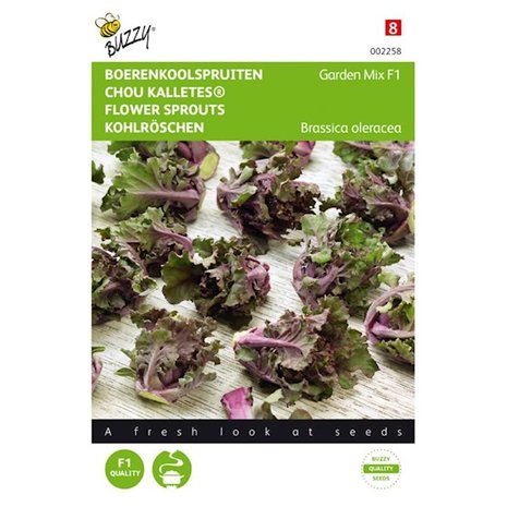 Boerenkoolspruiten, Kalettes Garden Mix F1 voorkant