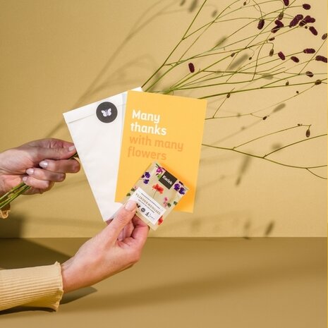 Vrolijk Pasen met deze vrolijke bloemetjes - Kwiek Plukkaart