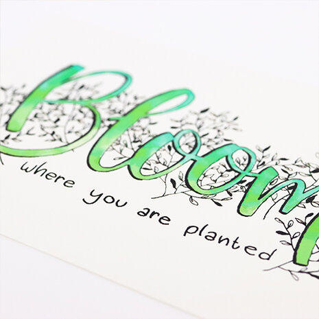 Sfeerfoto ansichtkaart 100 x 148 mm met de tekst ‘Bloom where you are planted’