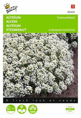 Sneeuwkleed Alyssum zaden - voorkant