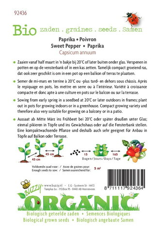 Biologische Paprika California Wonder zaden - achterkant