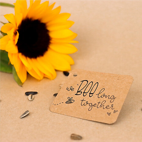 Sfeerfoto kraftlabel 50 x 60 mm met boorgat met de tekst 'We BEElong together'