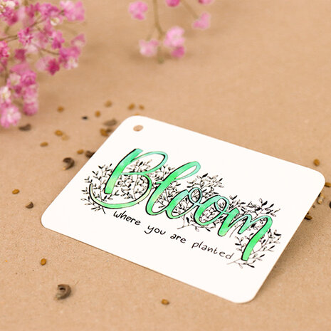 Label - Bloom where you are planted | 60 x 80 mm | Sfeerfoto