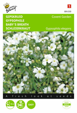 Gipskruid Covent Garden (Gypsophila) - voorkant